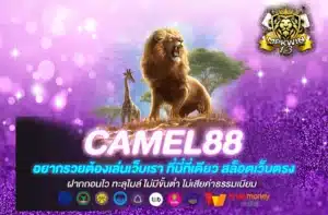 Camel88