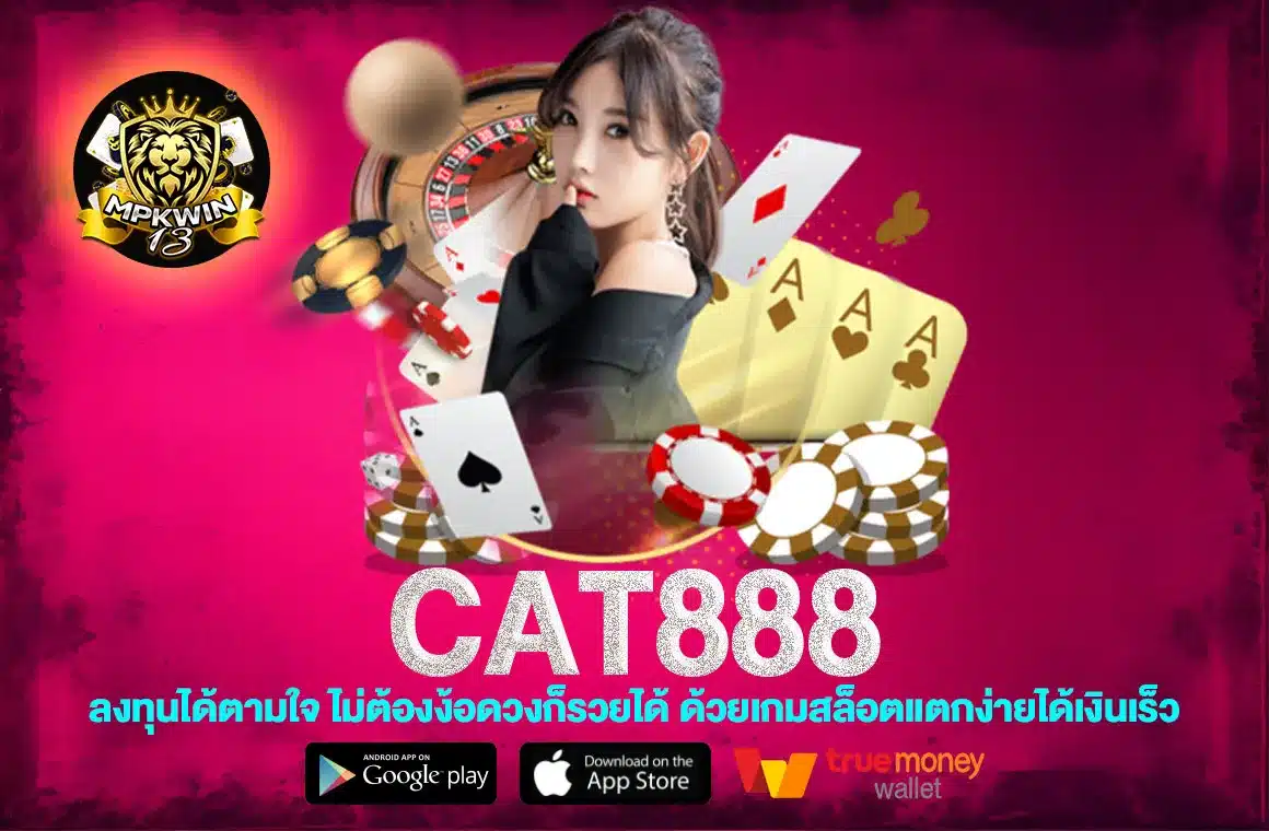 cat888