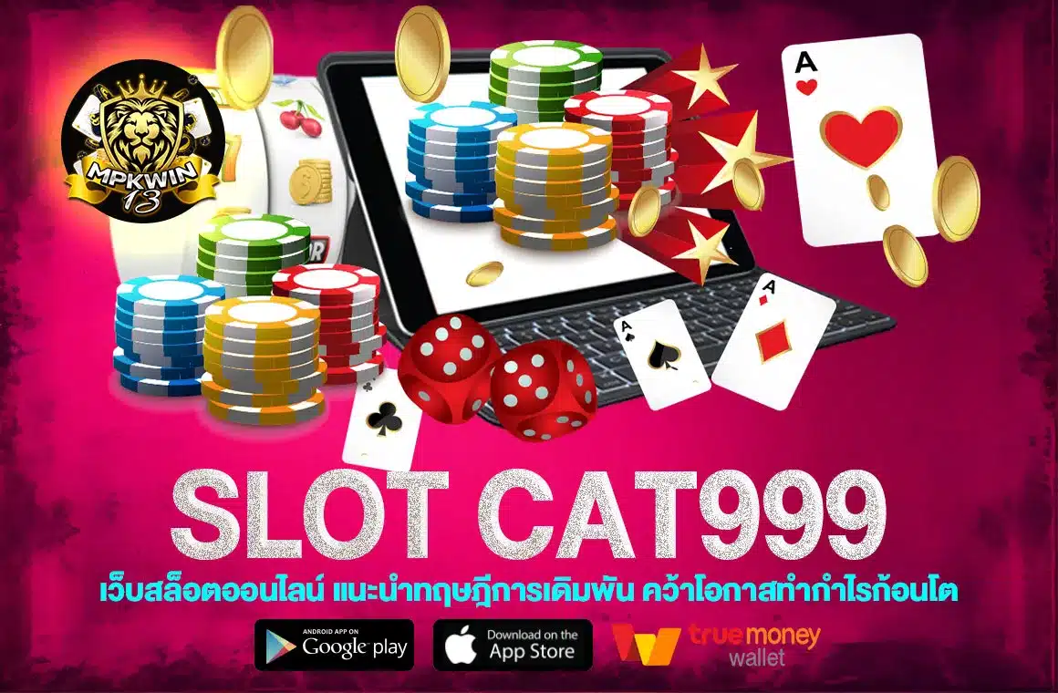 Slot cat999